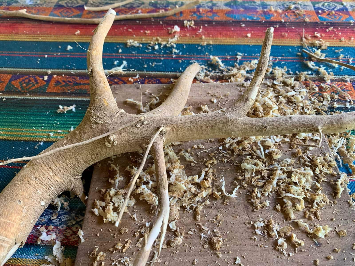 Sananga Powder Wood Bark Tasty Tea Incense medicinal sight cure vision sharpener Brazil Kamânawa Tribal Healing Clarity Root Haux Haux