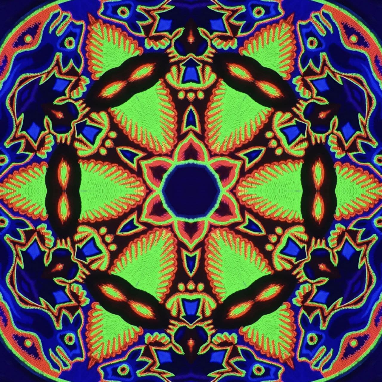 Huichol Peyote Embroidery Shamanic Art Eagle Bird patch indigene mescaline Masterpiece blacklight glowing beauty UV active Magic Cactus