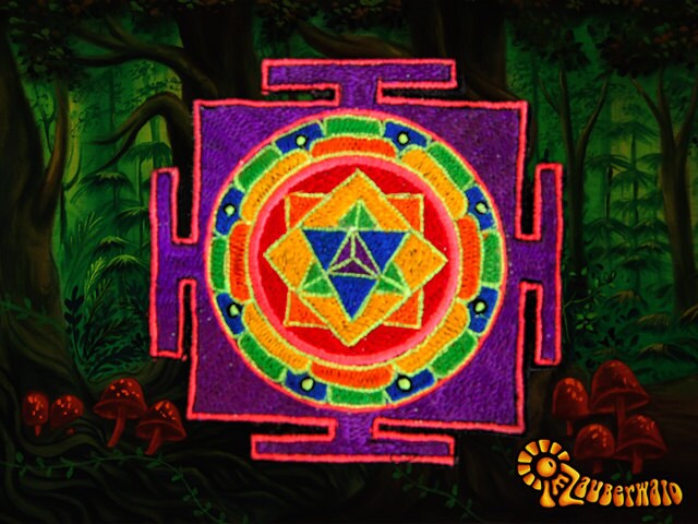 Merkhaba Small Patch energy field around the body drunvalo melchizedek holy geometry