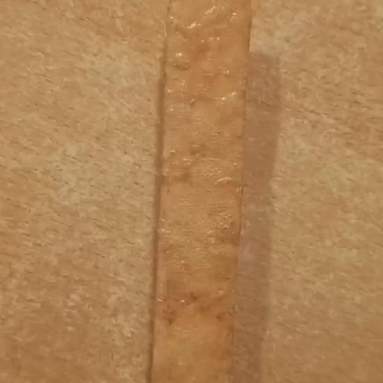 Kambo Stick for around 120 dots Frog Medicine Spiritual Cleansing and Healing of Body and Mind Brazil Kamânawa Tribal Haux Haux Tribe