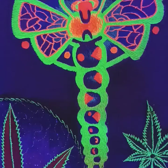Dragonfly crop circle ufo mystery alien nature hyperspace dragon