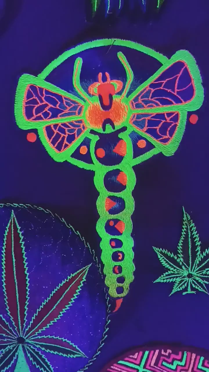 Dragonfly crop circle ufo mystery alien nature hyperspace dragon
