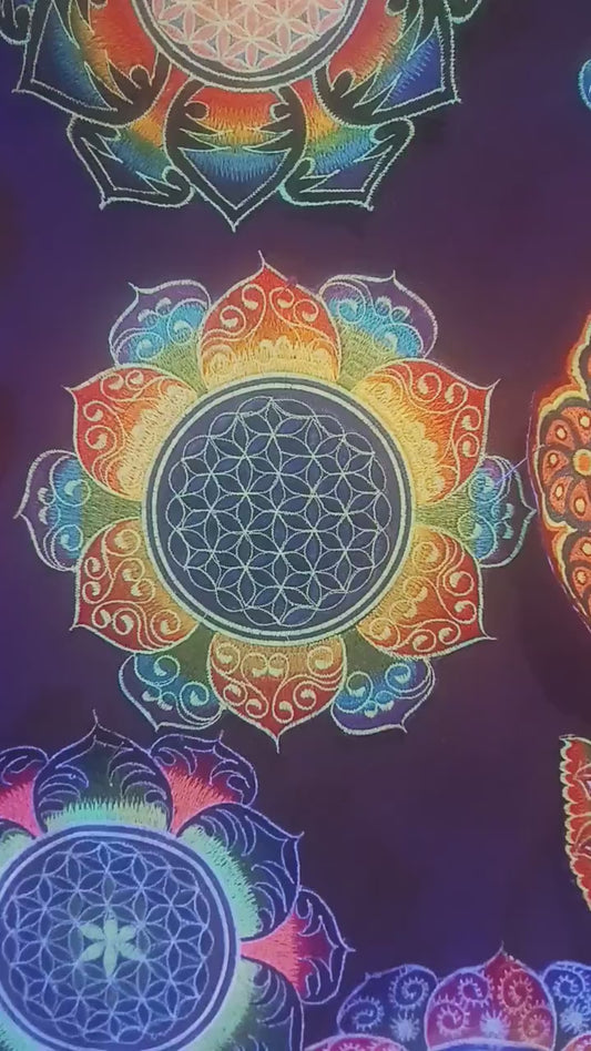 Rainbow Flower of Life celtic mandala holy geometry patch sacred geometry art