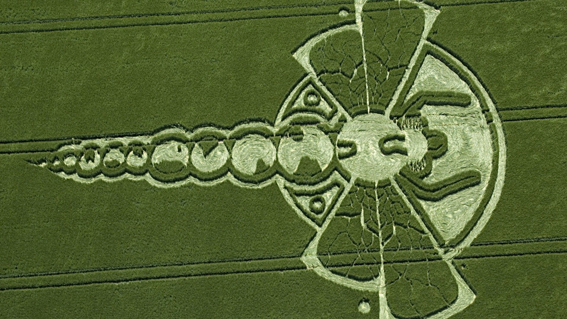 Dragonfly crop circle ufo mystery alien nature hyperspace dragon
