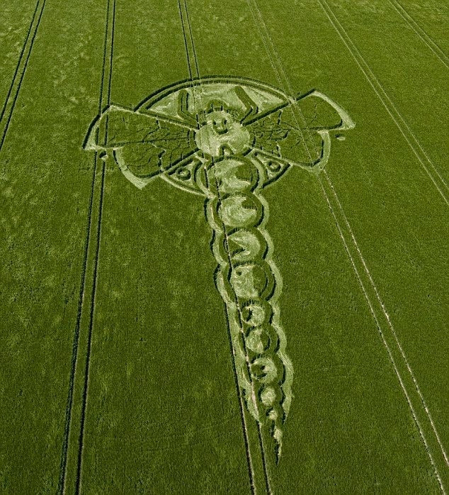 Dragonfly crop circle ufo mystery alien nature hyperspace dragon