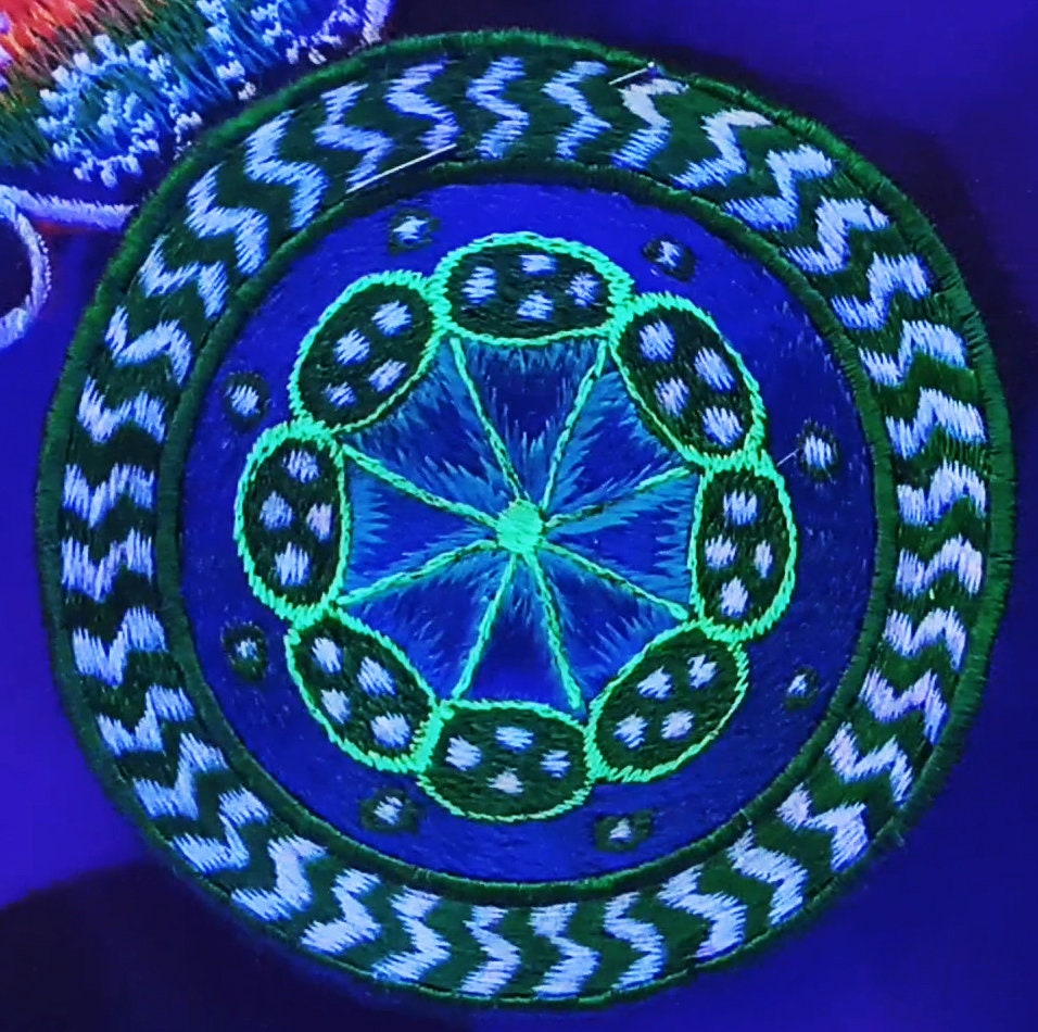 green huichol peyote patch hikuri mescaline cactus