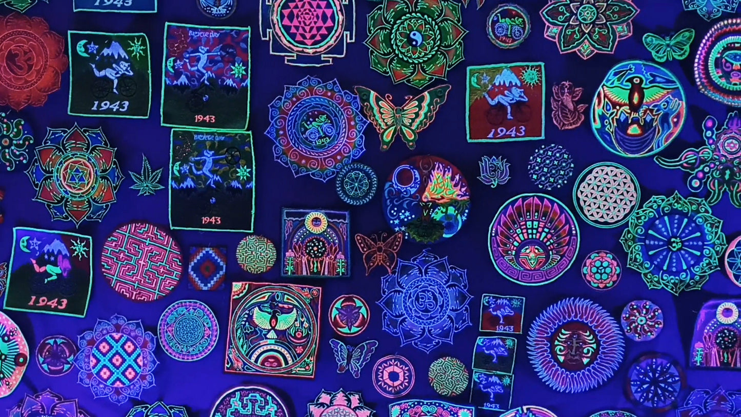 green huichol peyote patch hikuri mescaline cactus