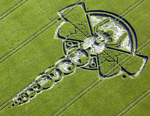 Dragonfly crop circle ufo mystery alien nature hyperspace dragon