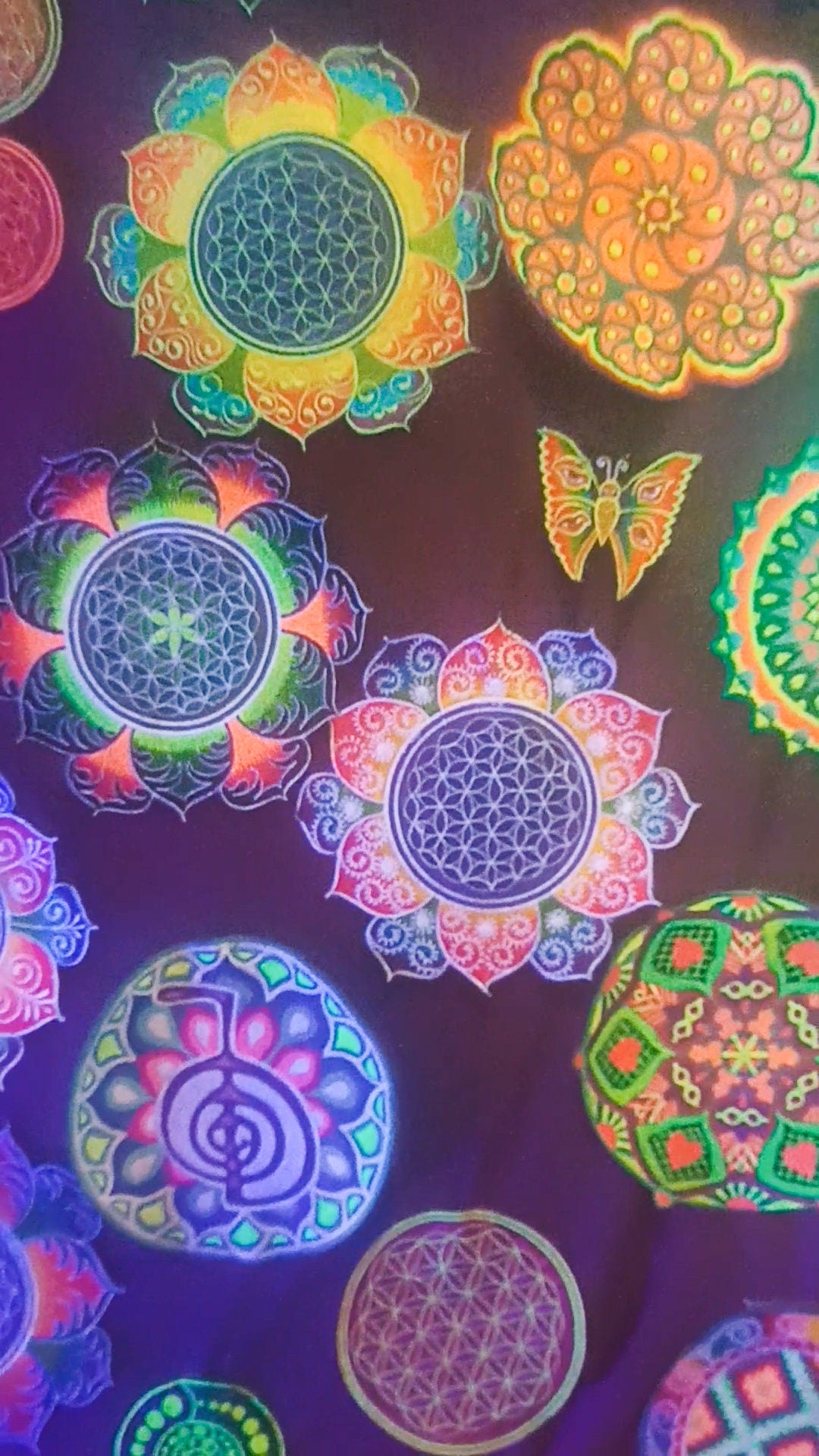 fractal Flower of Life rainbow mandala holy geometry patch sacred art