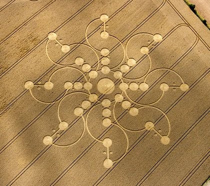 tidcombe crop circle patch blacklight fractal flower