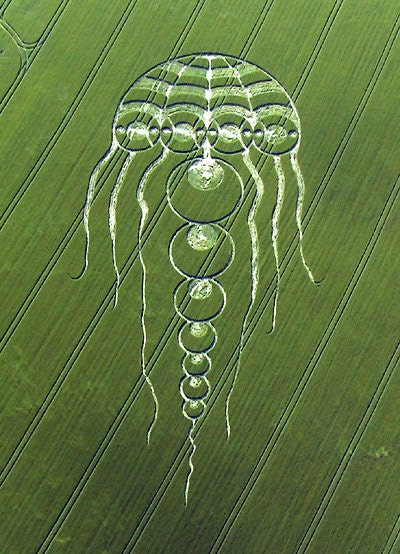Yellyfish crop circle T-Shirt blacklight handmade embroidery no print goa t-shirt