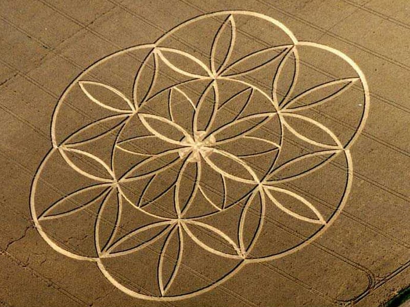 Seed of Life medium patch small size blacklight active crop circle sacred geometry healing mandala blacklight glowing yantra