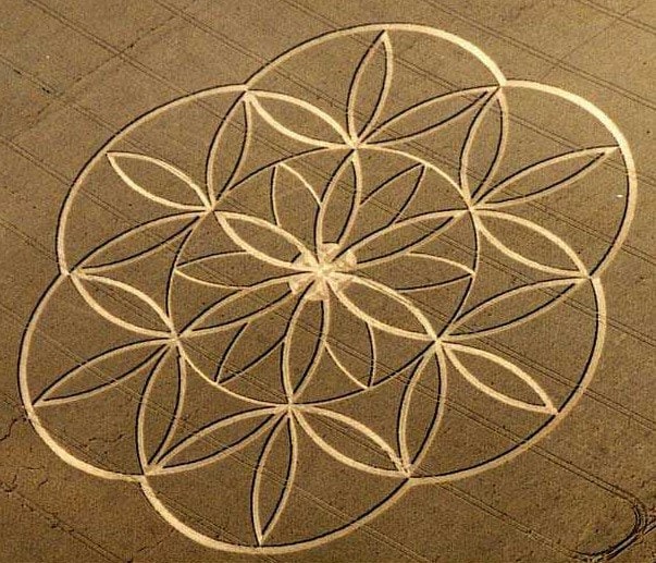 Seed of Life Star T-Shirt - sacred healing geometry seed of flower of life crop circle handmade embroidery no print
