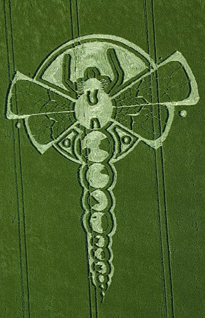 Dragonfly crop circle ufo mystery alien nature hyperspace dragon